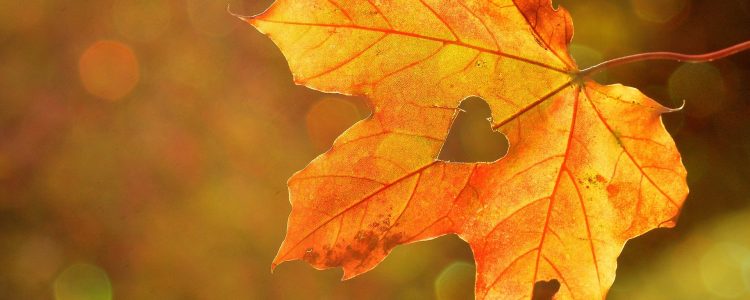 AUTUNNO E I RITUALI DEL BENESSERE